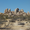 DSCF5429.jpg