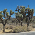 DSCF5464.jpg