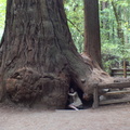 DSCF5212.jpg
