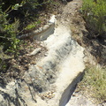 DSCF5107.jpg