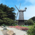 DSCF5245.jpg