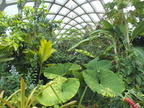 Botanic Garden