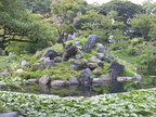 DSCF6382