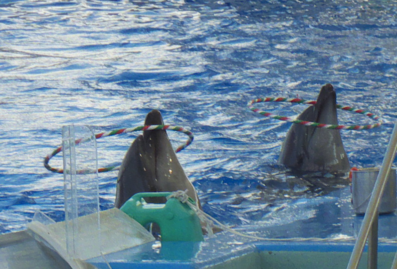 DSCF6578.jpg