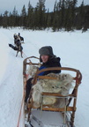 dog-sledding