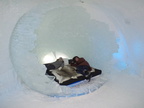 DSCF4079