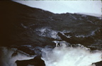 new-5