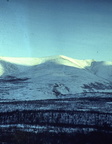 polarday