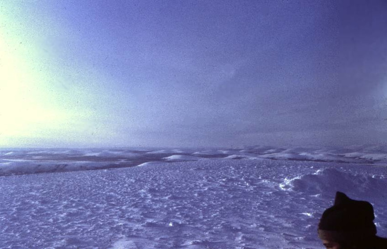 Tundra.jpg