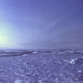 Tundra