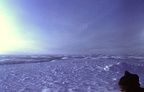 Tundra