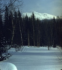 mount