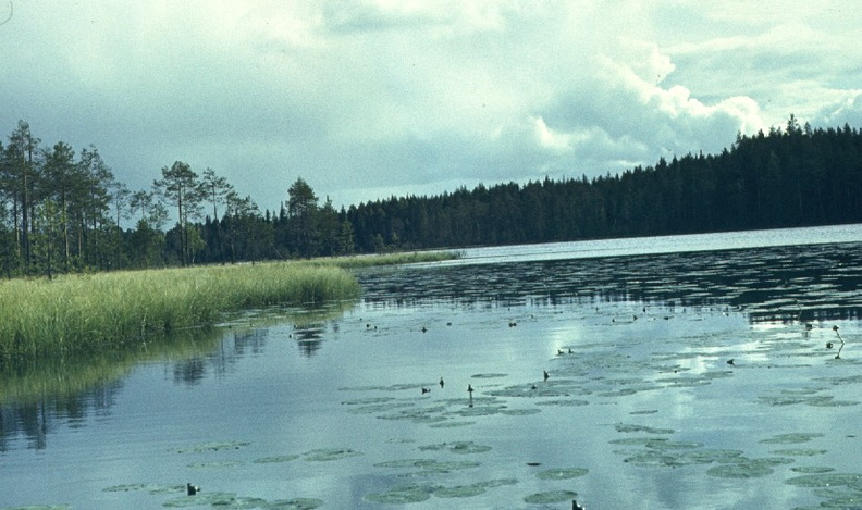 lake1.jpg