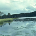 lake1