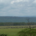 P1020526-landscape