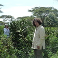 P1020197-trees.jpg