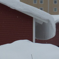 DSCF4216.jpg