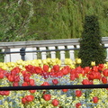 P1030733