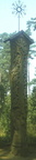 pole