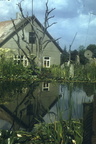 reflection