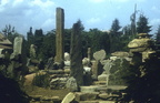 platelya