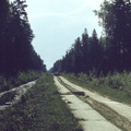 roadnowhe