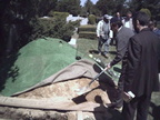 Dsc 008