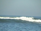 DV00304