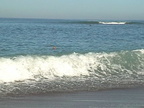 DV00307
