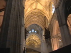 DV00106