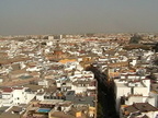 DV00109