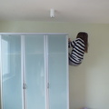 DSCF4517.jpg