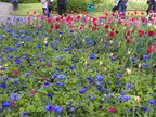 DSCF4334