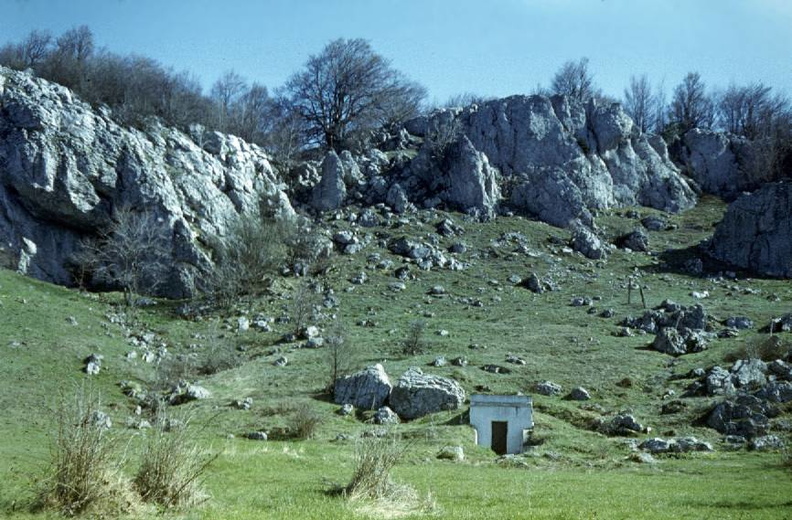 Rocks.jpg