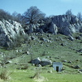 Rocks