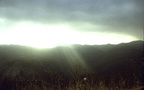 Beam