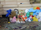 bild0011