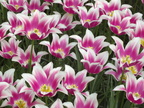 DSCF4329