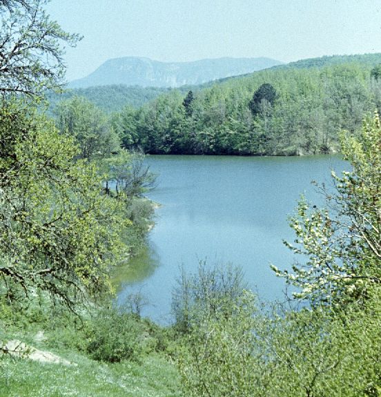 Lake2.jpg